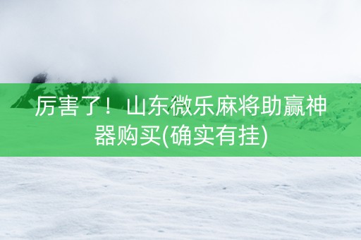 厉害了！山东微乐麻将助赢神器购买(确实有挂)