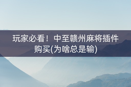 玩家必看！中至赣州麻将插件购买(为啥总是输)