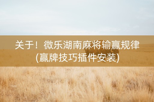 关于！微乐湖南麻将输赢规律(赢牌技巧插件安装)