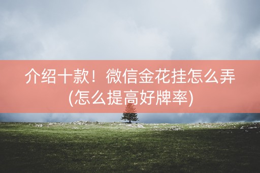 介绍十款！微信金花挂怎么弄(怎么提高好牌率)