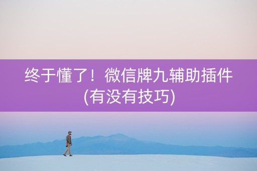 终于懂了！微信牌九辅助插件(有没有技巧)