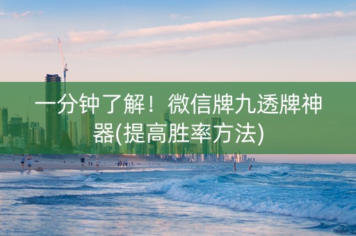一分钟了解！微信牌九透牌神器(提高胜率方法)