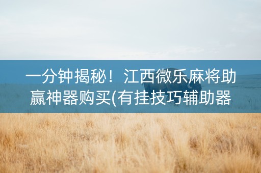 一分钟揭秘！江西微乐麻将助赢神器购买(有挂技巧辅助器)