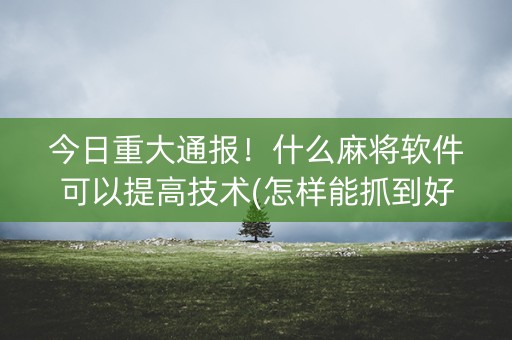 今日重大通报！什么麻将软件可以提高技术(怎样能抓到好牌)