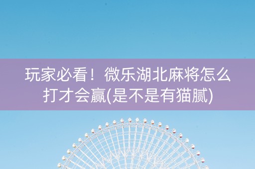 玩家必看！微乐湖北麻将怎么打才会赢(是不是有猫腻)
