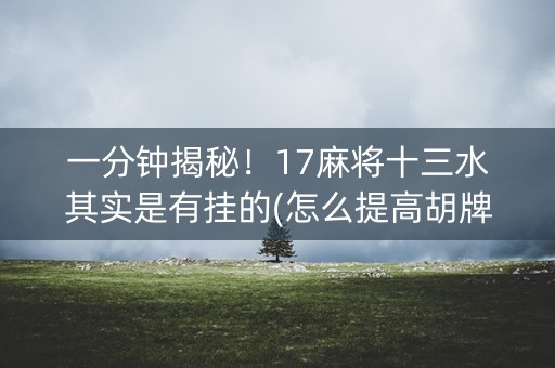 一分钟揭秘！17麻将十三水其实是有挂的(怎么提高胡牌率)