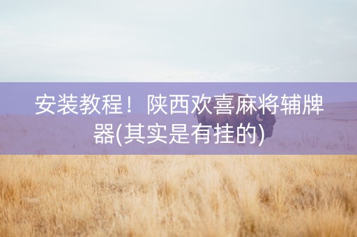 安装教程！陕西欢喜麻将辅牌器(其实是有挂的)