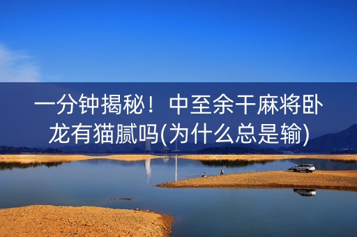 一分钟揭秘！中至余干麻将卧龙有猫腻吗(为什么总是输)