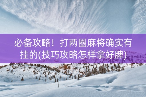必备攻略！打两圈麻将确实有挂的(技巧攻略怎样拿好牌)