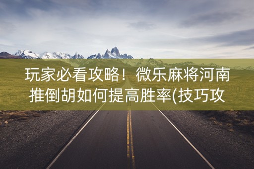 玩家必看攻略！微乐麻将河南推倒胡如何提高胜率(技巧攻略怎样拿好牌)