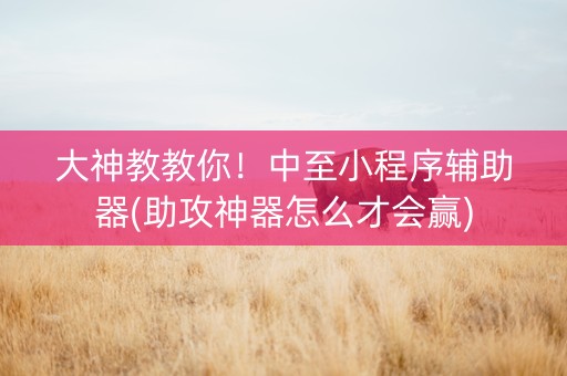大神教教你！中至小程序辅助器(助攻神器怎么才会赢)