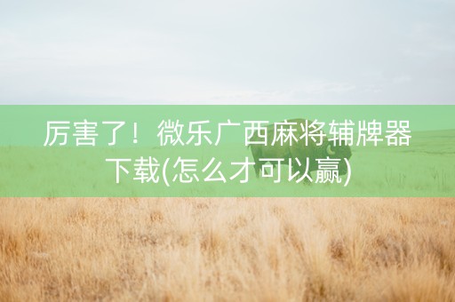 厉害了！微乐广西麻将辅牌器下载(怎么才可以赢)