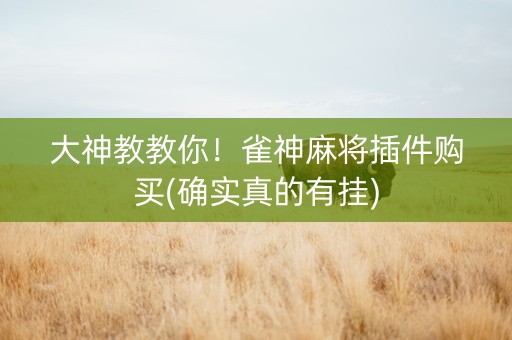 大神教教你！雀神麻将插件购买(确实真的有挂)