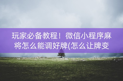 玩家必备教程！微信小程序麻将怎么能调好牌(怎么让牌变好)