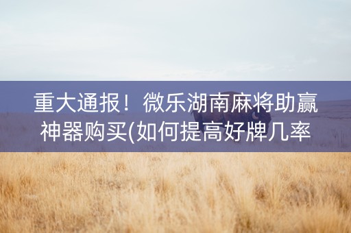 重大通报！微乐湖南麻将助赢神器购买(如何提高好牌几率)