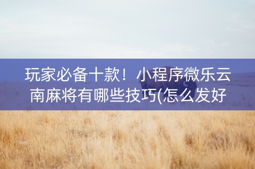 玩家必备十款！小程序微乐云南麻将有哪些技巧(怎么发好牌)
