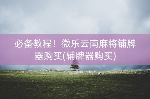 必备教程！微乐云南麻将铺牌器购买(辅牌器购买)