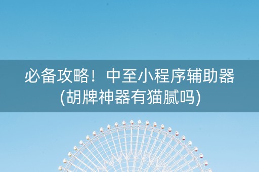必备攻略！中至小程序辅助器(胡牌神器有猫腻吗)