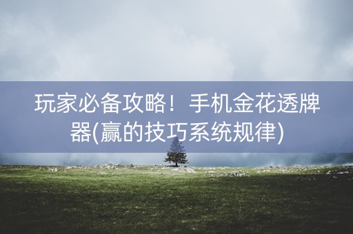 玩家必备攻略！手机金花透牌器(赢的技巧系统规律)