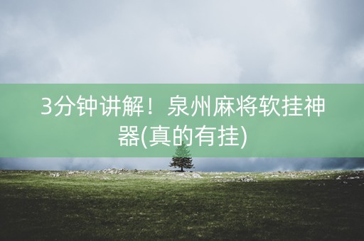 3分钟讲解！泉州麻将软挂神器(真的有挂)