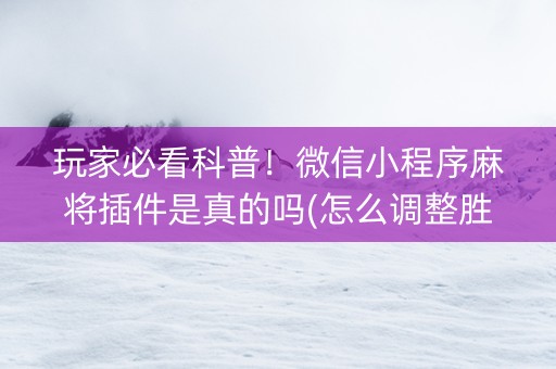 玩家必看科普！微信小程序麻将插件是真的吗(怎么调整胜率)