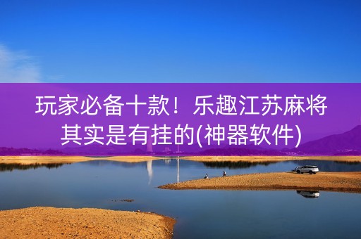 玩家必备十款！乐趣江苏麻将其实是有挂的(神器软件)