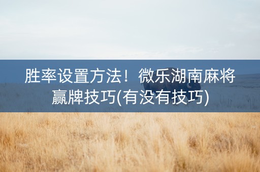 胜率设置方法！微乐湖南麻将赢牌技巧(有没有技巧)