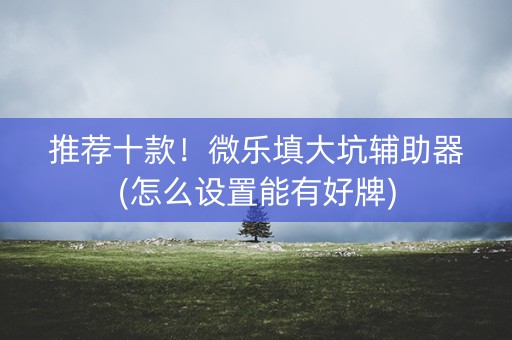 推荐十款！微乐填大坑辅助器(怎么设置能有好牌)