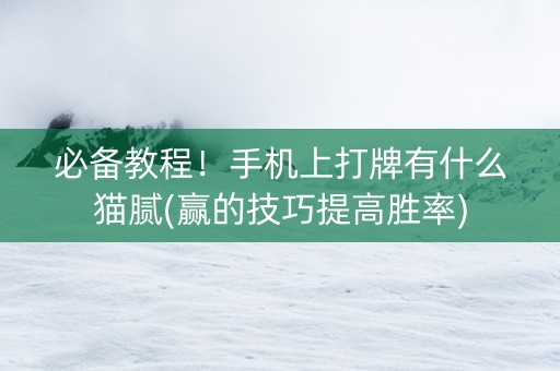 必备教程！手机上打牌有什么猫腻(赢的技巧提高胜率)
