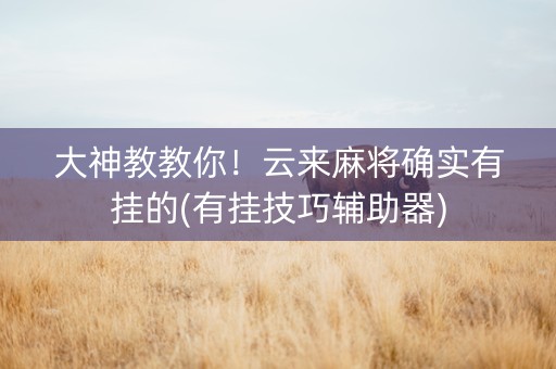 大神教教你！云来麻将确实有挂的(有挂技巧辅助器)