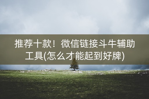 推荐十款！微信链接斗牛辅助工具(怎么才能起到好牌)