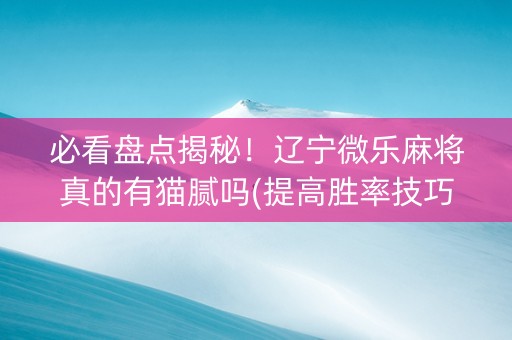 必看盘点揭秘！辽宁微乐麻将真的有猫腻吗(提高胜率技巧)