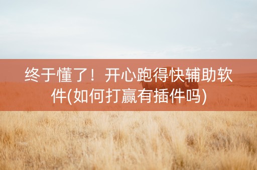 终于懂了！开心跑得快辅助软件(如何打赢有插件吗)