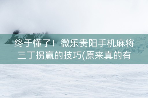 终于懂了！微乐贵阳手机麻将三丁拐赢的技巧(原来真的有挂)