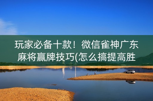 玩家必备十款！微信雀神广东麻将赢牌技巧(怎么搞提高胜率)