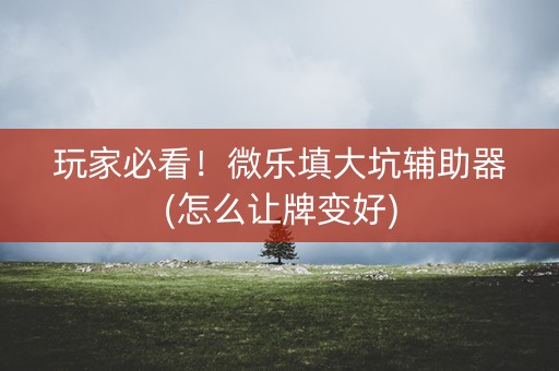 玩家必看！微乐填大坑辅助器(怎么让牌变好)
