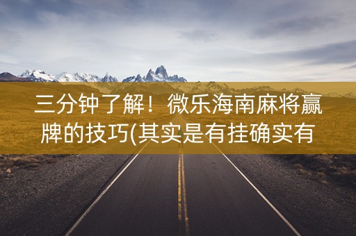 三分钟了解！微乐海南麻将赢牌的技巧(其实是有挂确实有挂)