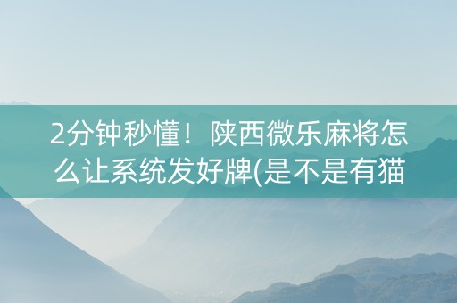 2分钟秒懂！陕西微乐麻将怎么让系统发好牌(是不是有猫腻)