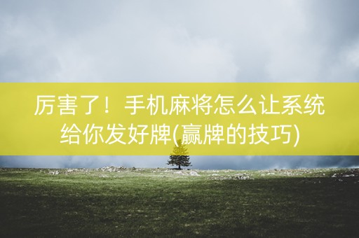 厉害了！手机麻将怎么让系统给你发好牌(赢牌的技巧)