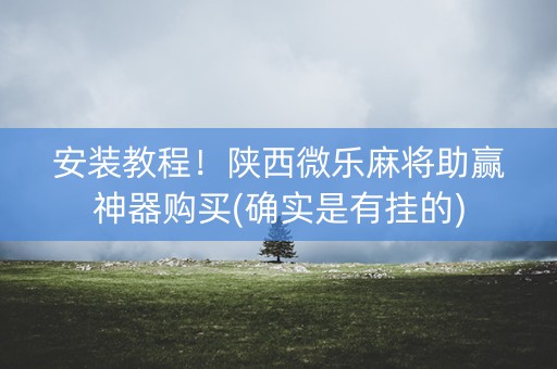 安装教程！陕西微乐麻将助赢神器购买(确实是有挂的)
