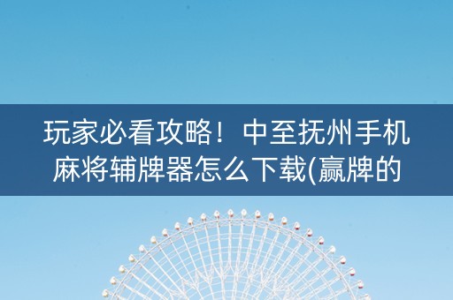 玩家必看攻略！中至抚州手机麻将辅牌器怎么下载(赢牌的技巧)