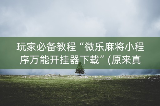 玩家必备教程“微乐麻将小程序万能开挂器下载”(原来真的有挂)-抖音