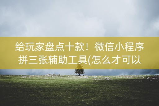 给玩家盘点十款！微信小程序拼三张辅助工具(怎么才可以赢)