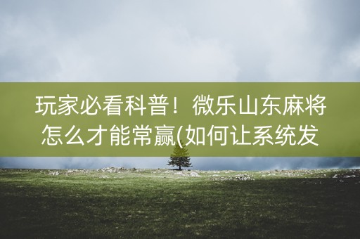 玩家必看科普！微乐山东麻将怎么才能常赢(如何让系统发好牌)