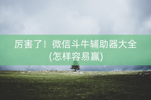 厉害了！微信斗牛辅助器大全(怎样容易赢)