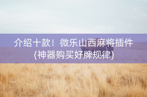 介绍十款！微乐山西麻将插件(神器购买好牌规律)
