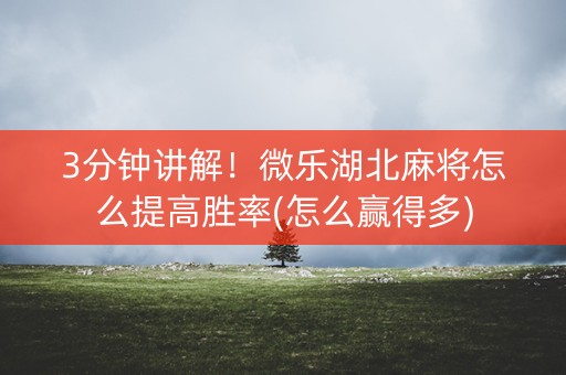 3分钟讲解！微乐湖北麻将怎么提高胜率(怎么赢得多)