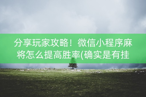 分享玩家攻略！微信小程序麻将怎么提高胜率(确实是有挂的)