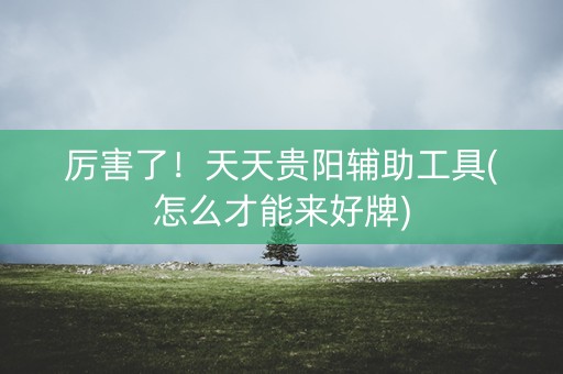 厉害了！天天贵阳辅助工具(怎么才能来好牌)