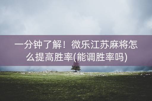 一分钟了解！微乐江苏麻将怎么提高胜率(能调胜率吗)